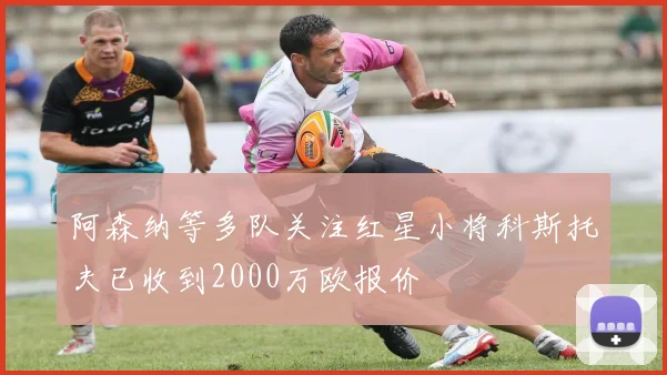 阿森纳等多队关注红星小将科斯托夫已收到2000万欧报价