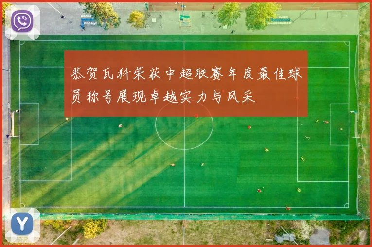 恭贺瓦科荣获中超联赛年度最佳球员称号展现卓越实力与风采