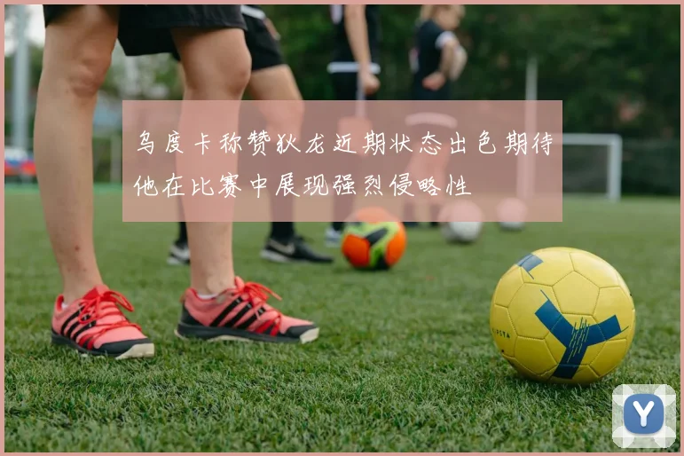 乌度卡称赞狄龙近期状态出色期待他在比赛中展现强烈侵略性