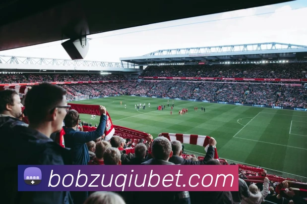 BOB体育APP 封面图